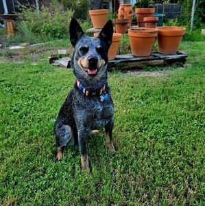 Meet your Posher, Phillip